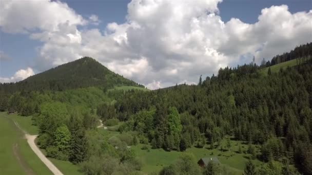 Luchtfoto Van Groene Bomen Slowaakse Tatra — Stockvideo