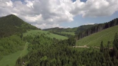 Slovak Tatralarında yeşil ağaçların havadan görünüşü