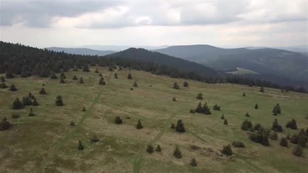 슬로바키아의 타트라 산맥에 나무들이 산맥을 공중에서 내려다본 — 비디오