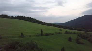 Slovak Tatralarında yeşil ağaçların havadan görünüşü