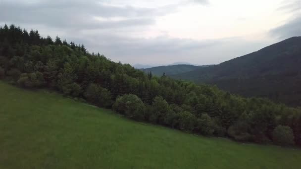 Veduta Aerea Alberi Verdi Nei Tatra Slovacchi — Video Stock