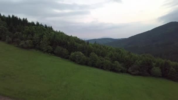 Luchtfoto Van Groene Bomen Slowaakse Tatra — Stockvideo