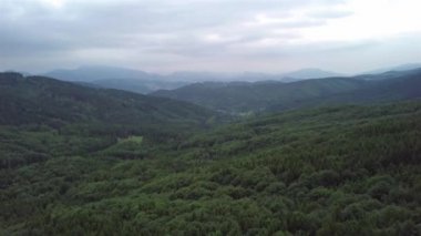 Slovak Tatralarında yeşil ağaçların havadan görünüşü