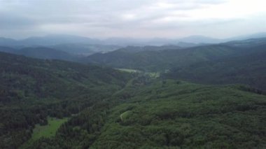 Slovak Tatralarında yeşil ağaçların havadan görünüşü