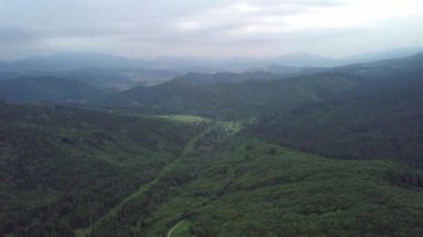 Slovak Tatralarında yeşil ağaçların havadan görünüşü