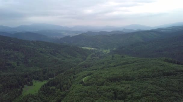Aerial View Green Trees Slovak Tatras — Stock Video