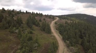 Slovak Tatralarında yeşil ağaçların havadan görünüşü