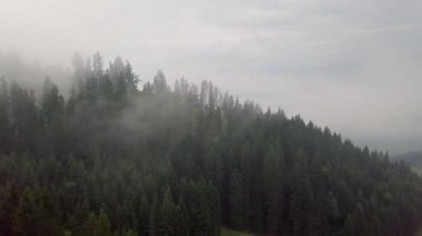 Alçak Tatra 'daki sisli havada sabah dağları manzarası ve arka planda şehir