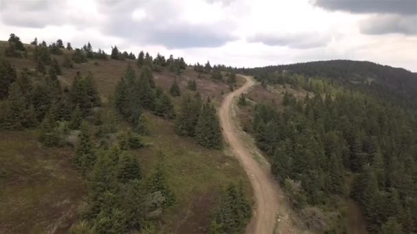 Veduta Aerea Alberi Verdi Nei Tatra Slovacchi — Video Stock