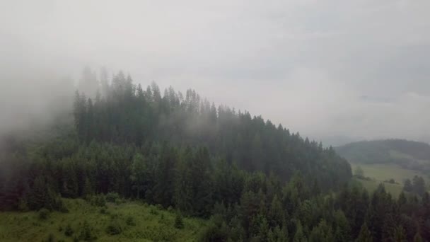 Bergblick Aus Der Luft Nebel Der Niederen Tatra — Stockvideo