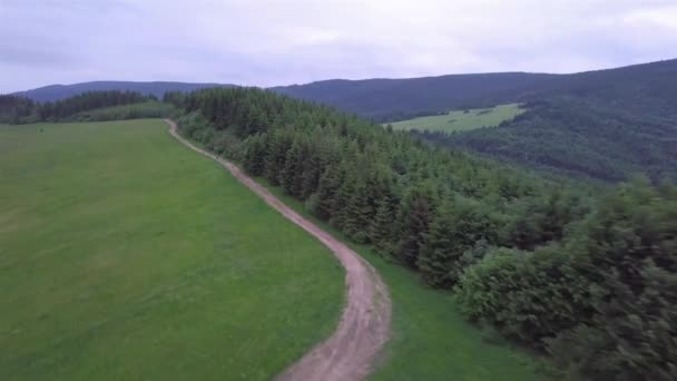 Slovak Tatralarında Yeşil Tarlası Yolu Olan Dağların Havadan Görünüşü — Stok video