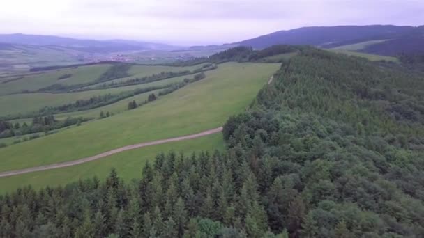 Slovak Tatralarında Yeşil Tarlası Yolu Olan Dağların Havadan Görünüşü — Stok video