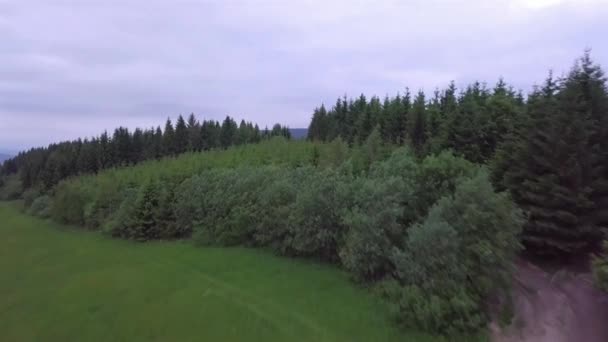 Aerial View Mountains Green Field Road Slovak Tatras — Stock Video