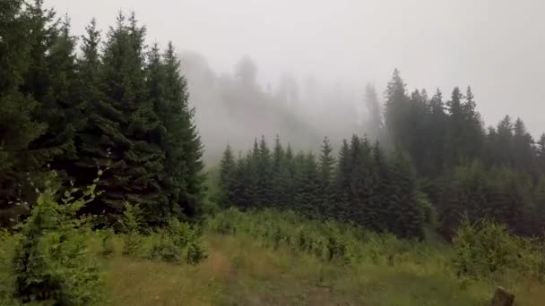Veduta Aerea Una Strada Montagna Che Sorge Durante Nebbia Mattutina — Video Stock