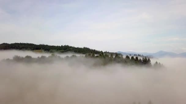 Vue aérienne des collines avec forêt et champs dans les montagnes, dans les nuages blancs dans les Tatras slovaques 