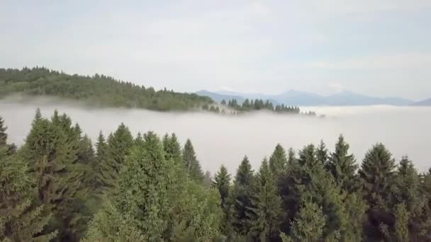 Letecký pohled na kopce s lesy a poli v horách, v bílých mracích ve slovenských Tatrách
