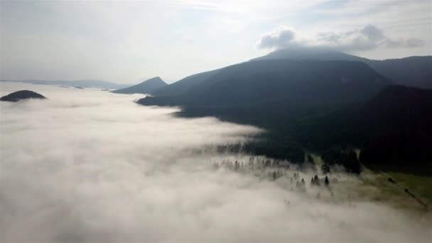 Drone Vliegt Witte Wolken Bos Slowaakse Tatra — Stockvideo