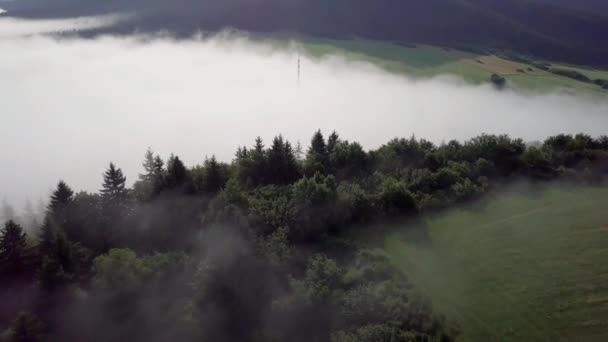 Дрони Літають Над Білими Хмарами Лісом Словацьких Татрах — стокове відео