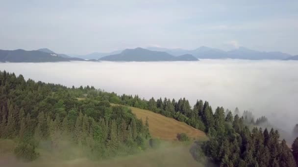 Flygfoto Över Kullar Med Skog Och Fält Bergen Vita Moln — Stockvideo