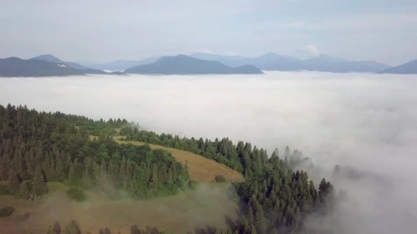 Αεροφωτογραφία Των Λόφων Δάσος Και Χωράφια Στα Βουνά Άσπρα Σύννεφα — Αρχείο Βίντεο