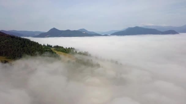 Luchtfoto Van Heuvels Met Bos Velden Bergen Witte Wolken Slowaakse — Stockvideo