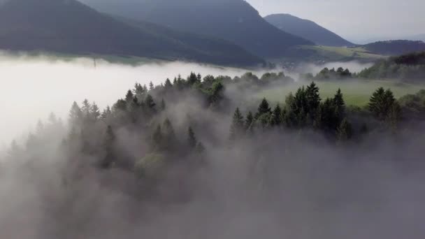 Letecký pohled na kopce s lesy a poli v horách, v bílých mracích ve slovenských Tatrách