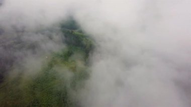 Slovakya 'nın dağlık bir bölgesi olan Tatra Dağları' ndaki bulutların arasındaki kozalaklı ormanın havadan görünüşü