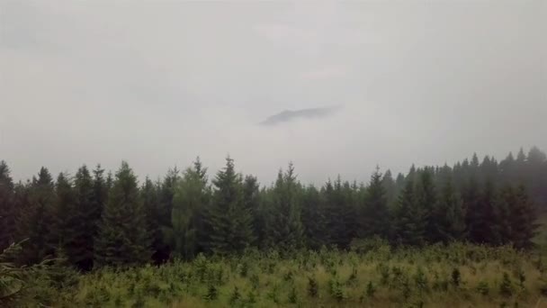 Letecký pohled na jehličnatý les přes mraky v hornaté oblasti Slovenska, Tatry