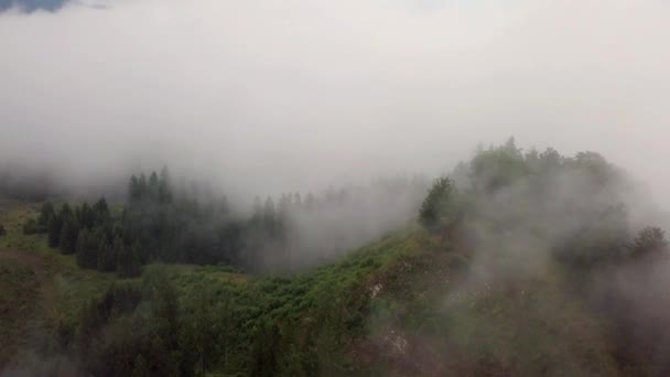 Veduta Aerea Della Foresta Conifere Attraverso Nuvole Una Regione Montuosa — Video Stock