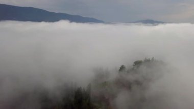 Slovakya 'nın dağlık bir bölgesi olan Tatra Dağları' ndaki bulutların arasındaki kozalaklı ormanın havadan görünüşü