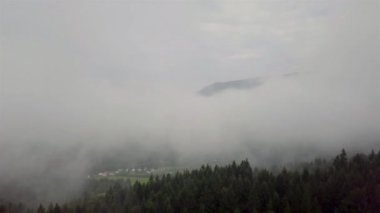 Slovakya 'nın dağlık bir bölgesi olan Tatra Dağları' ndaki bulutların arasındaki kozalaklı ormanın havadan görünüşü