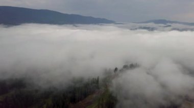 Slovakya 'nın dağlık bir bölgesi olan Tatra Dağları' ndaki bulutların arasındaki kozalaklı ormanın havadan görünüşü
