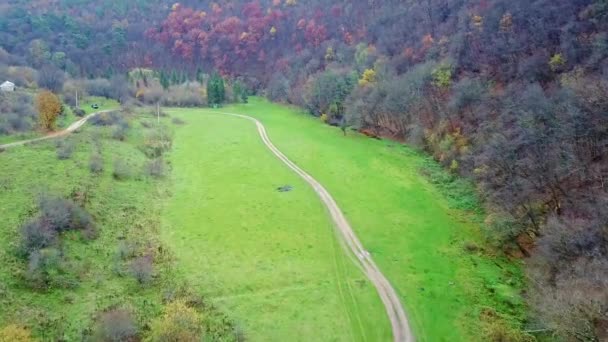 Dağlardaki Yeşil Otların Arasındaki Bir Kır Yolunun Havadan Görünüşü — Stok video