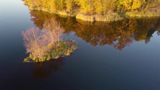 Vue aérienne de l'île sur la rivière Teterev automne avec des arbres sur lesquels feuillage jaune 
