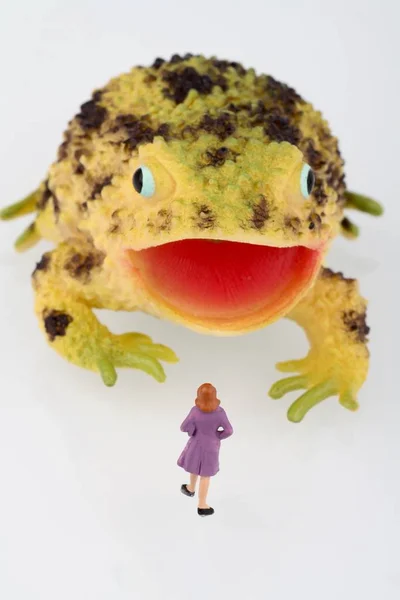 Miniatura ženy s žába — Stock fotografie