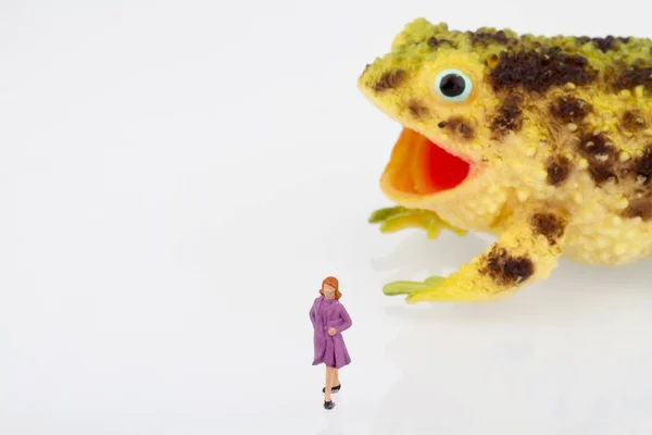 Bir kadının bir kurbağa ile minyatür — Stok fotoğraf