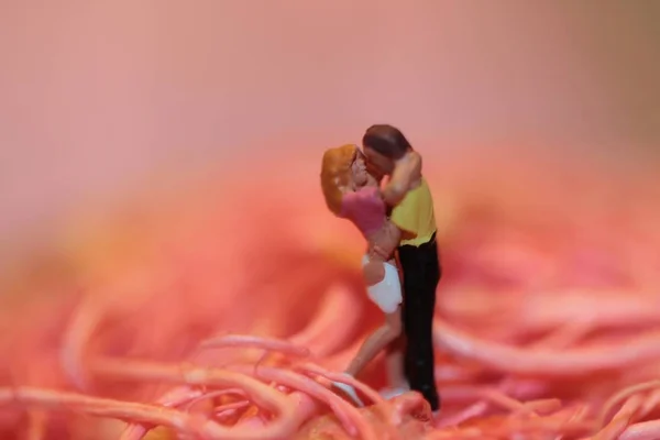 Miniatur Eines Jungen Verliebten Kusses — Stockfoto