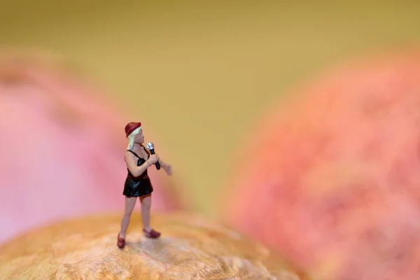 Figurine Miniature Une Chanteuse — Photo