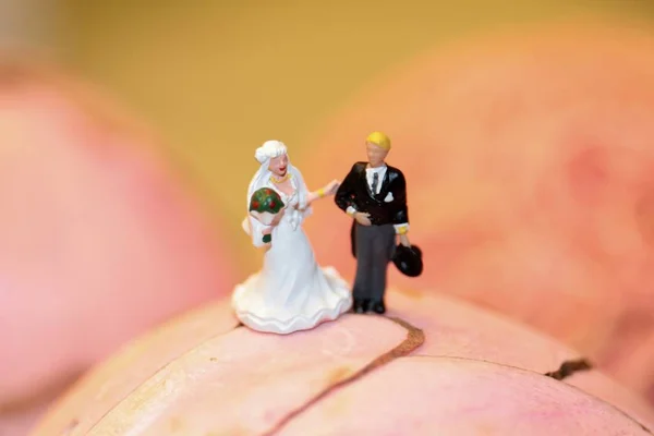 Miniatura Casal Durante Dia Casamento — Fotografia de Stock