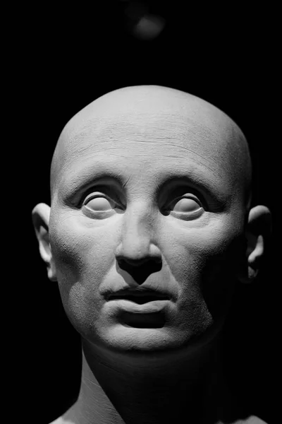 Horror head — Stock Photo © hypermania 6039021