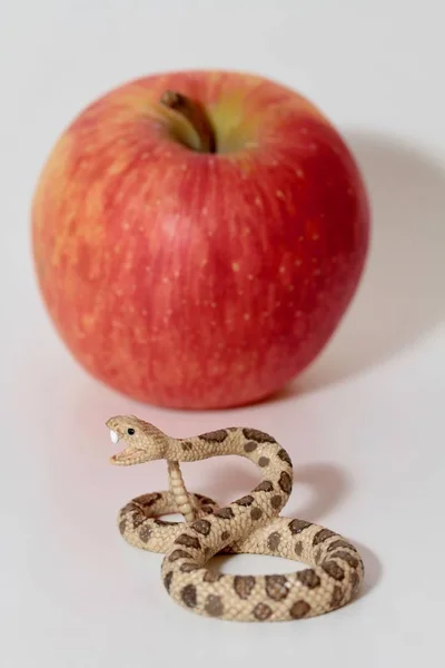방울뱀의 미니어처 — 스톡 사진