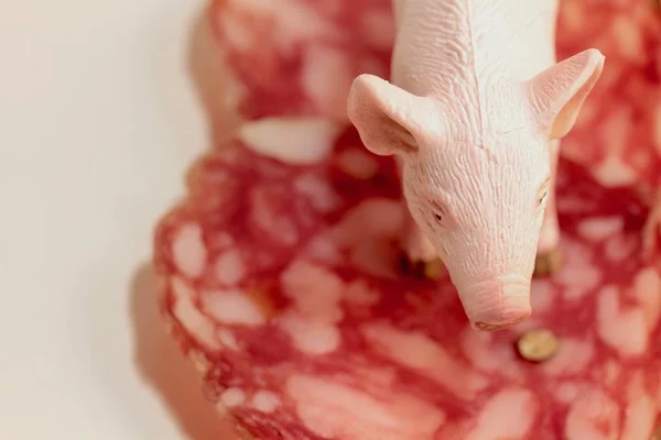 살라미 슬라이스와 돼지고기의 미니어처 — 스톡 사진