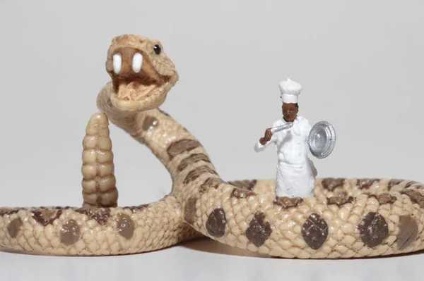 뱀으로 요리사의 미니어처 — 스톡 사진