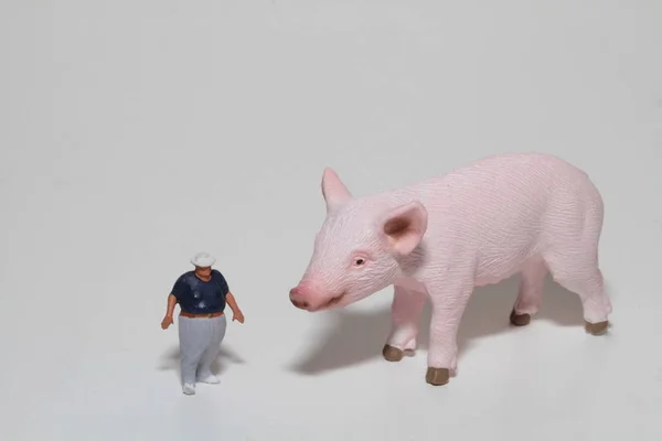 Miniatura Hombre Obeso Con Cerdo Bebé Gigante —  Fotos de Stock