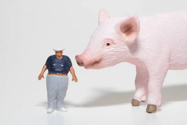 Miniatura Hombre Obeso Con Cerdo Bebé Gigante —  Fotos de Stock