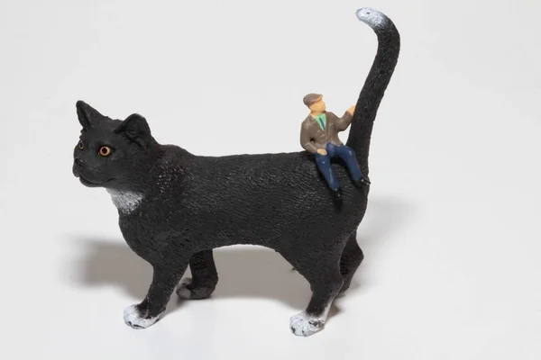 Miniature People Standing Giant Black Cat — Stock Photo, Image