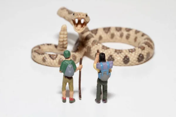 Túrázók Miniüvegek Egy Óriás Csörgőkígyó — Stock Fotó