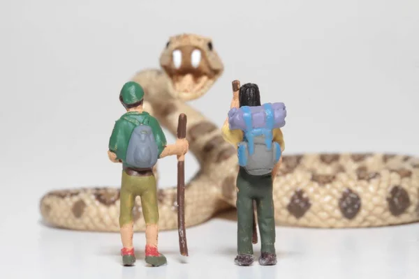 Miniaturas Excursionistas Con Una Serpiente Cascabel Gigante —  Fotos de Stock