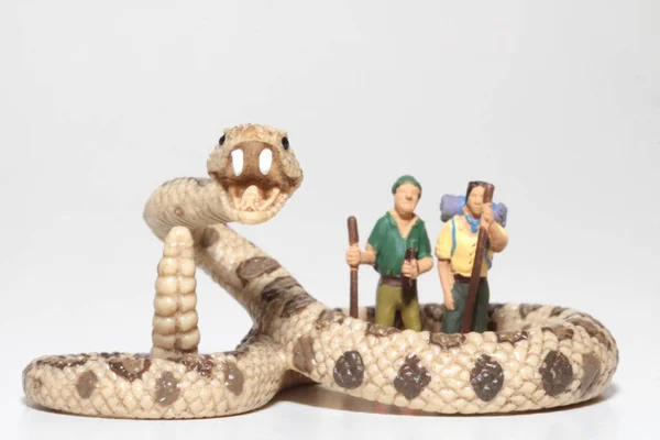 Randonneurs Miniatures Avec Serpent Sonnettes Géant — Photo