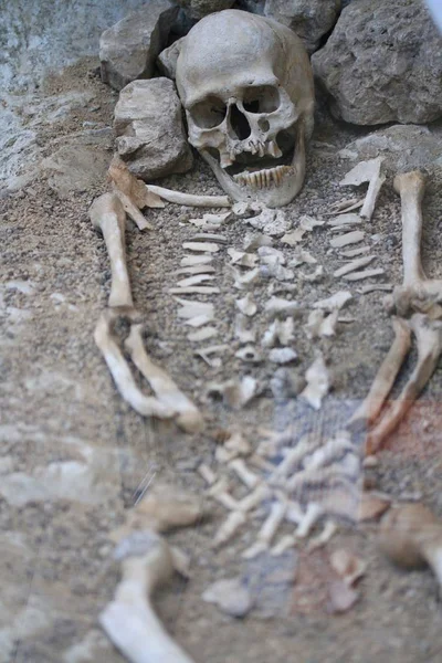 Eski bir mezarın iskelet ve kemikleri